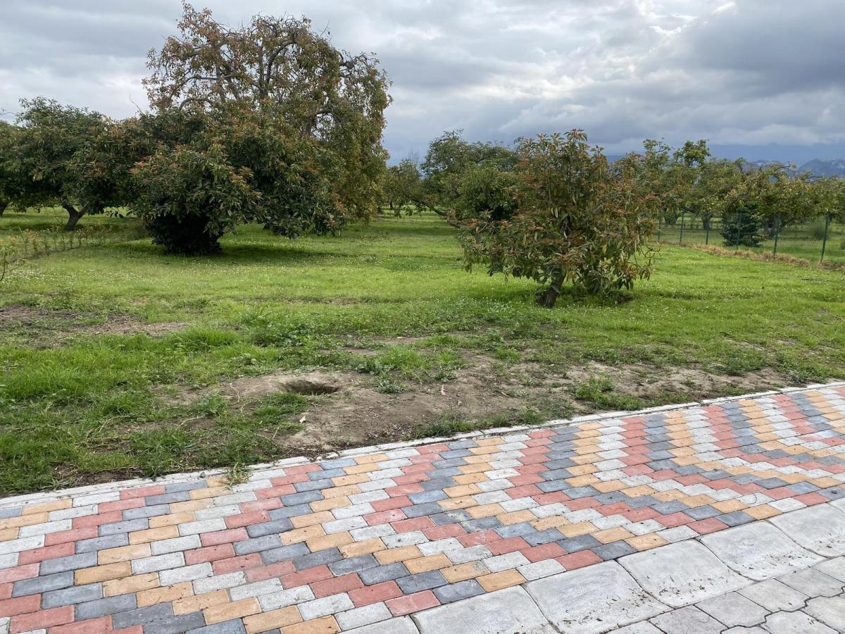 Terrenos de Venta Dentro de Urbanización en Puembo. Espectaculares, Los Mejores de Puembo — imagen 9