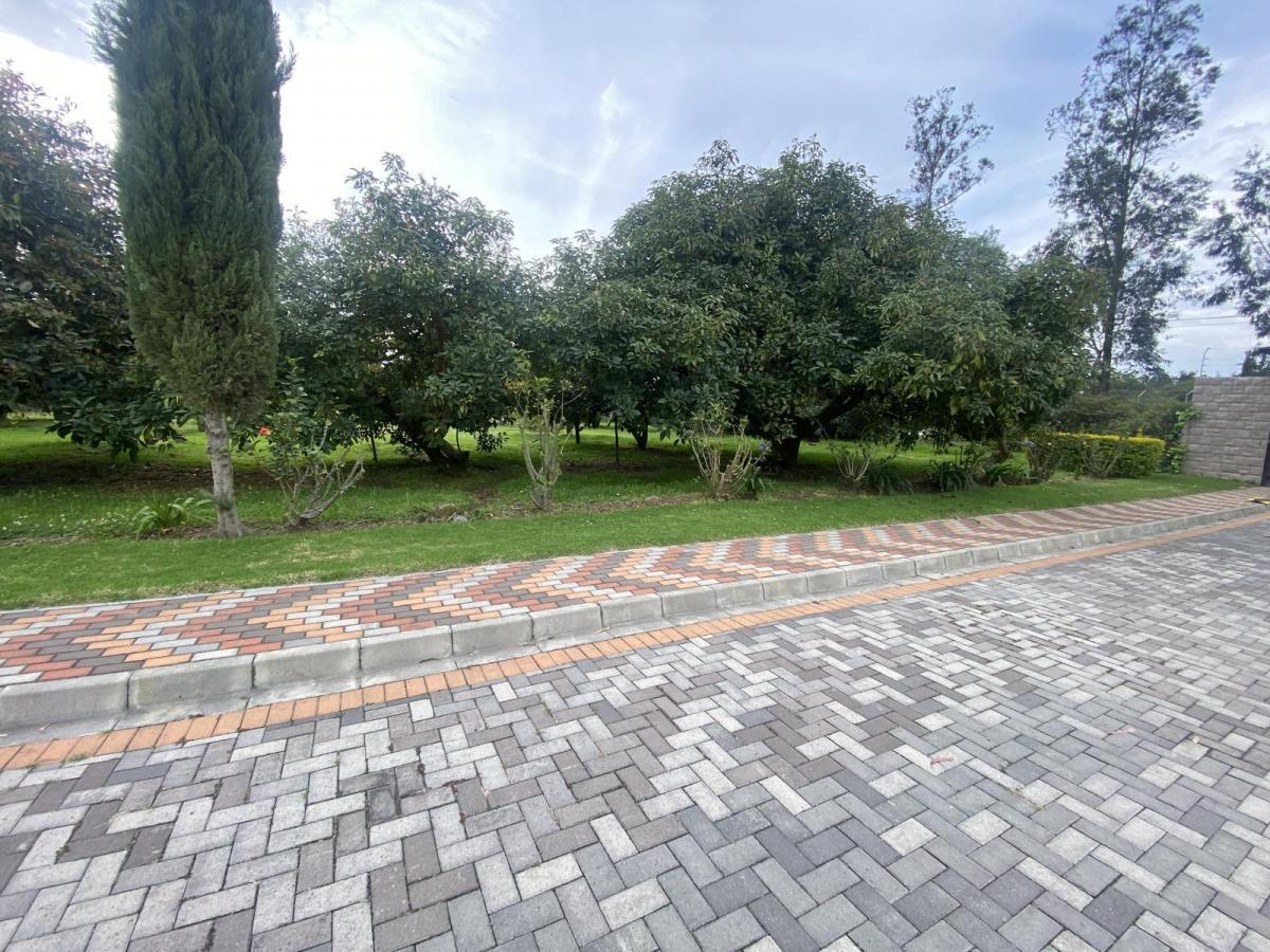 Terrenos de Venta Dentro de Urbanización en Puembo. Espectaculares, Los Mejores de Puembo — imagen 3