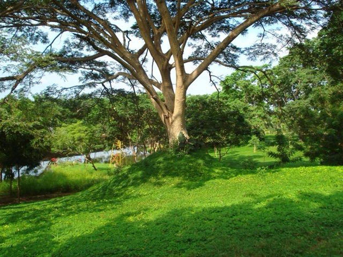 En Venta Terrenos en Vía a La Costa Desde $30 m² - R. Sánchez, Guayas — imagen 2
