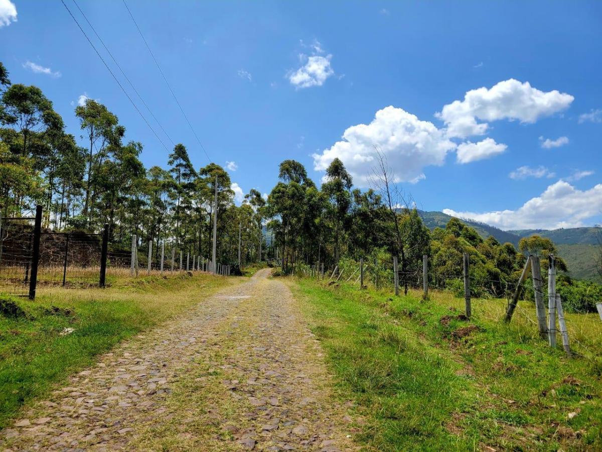 En Venta, en Las Faldas del Ilalo Terreno — imagen 8