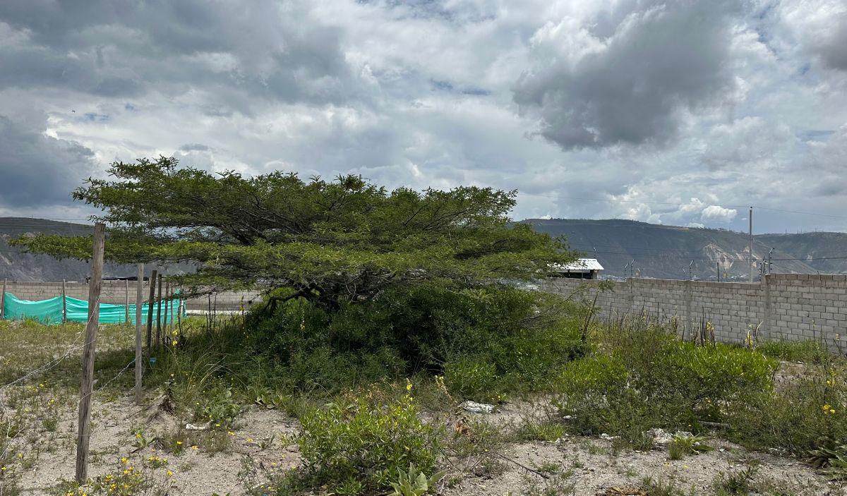 ¡Oportunidad! Vendo Hermoso Terreno de 600 m² Cercano Al Monumento de La Mitad del Mundo — imagen 8