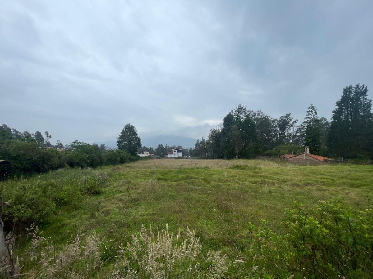 Terreno Para Inversión en Conocoto Sector La Macarena Ideal Para Proyecto Inmobiliario — imagen 5
