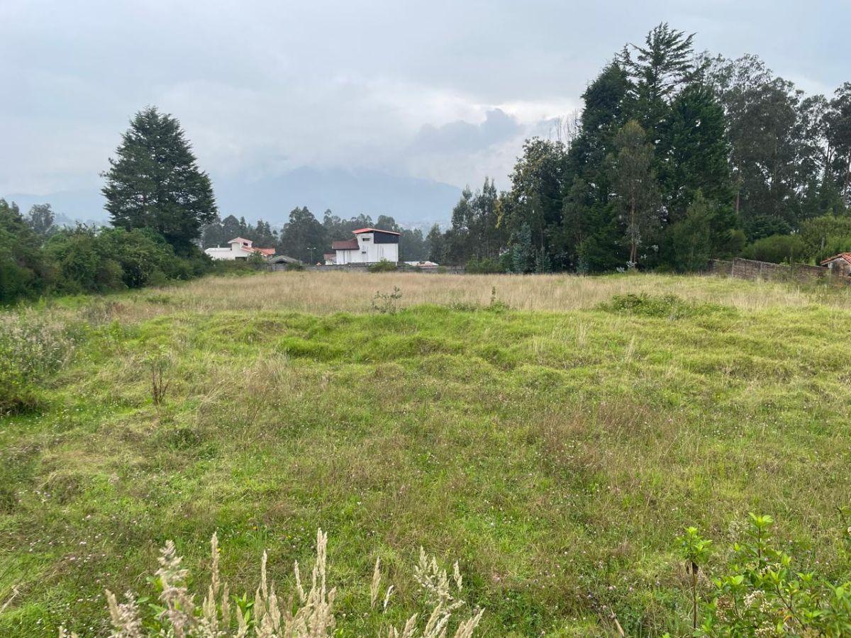 Terreno Para Inversión en Conocoto Sector La Macarena Ideal Para Proyecto Inmobiliario — imagen 2