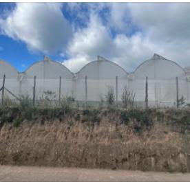 Terreno Industrial en Ventas Sector El Aereopuerto — imagen 4