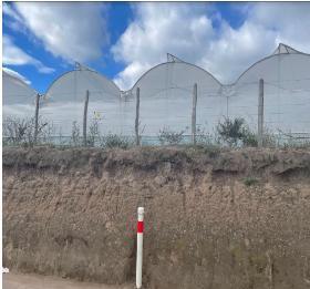 Terreno Industrial en Ventas Sector El Aereopuerto — imagen 3