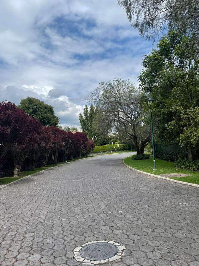 Increíble Terreno de Venta Ubicado en La Más Exclusiva Urbanizacion de Cumbayá. Provincia de Pichincha — imagen 9