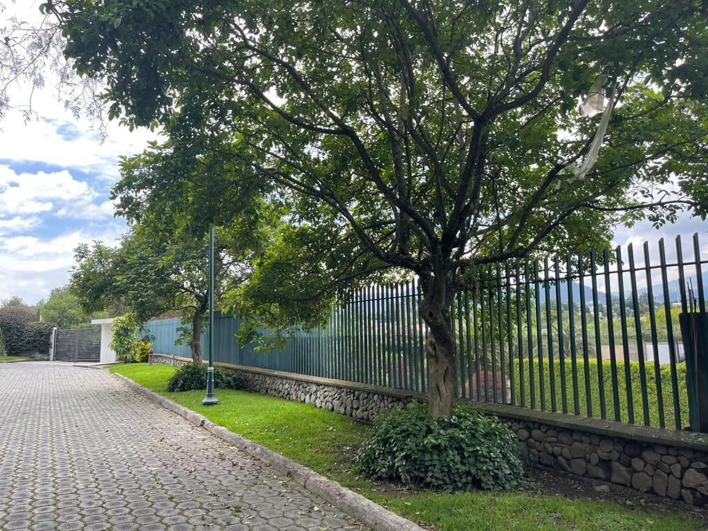 Increíble Terreno de Venta Ubicado en La Más Exclusiva Urbanizacion de Cumbayá. Provincia de Pichincha — imagen 6