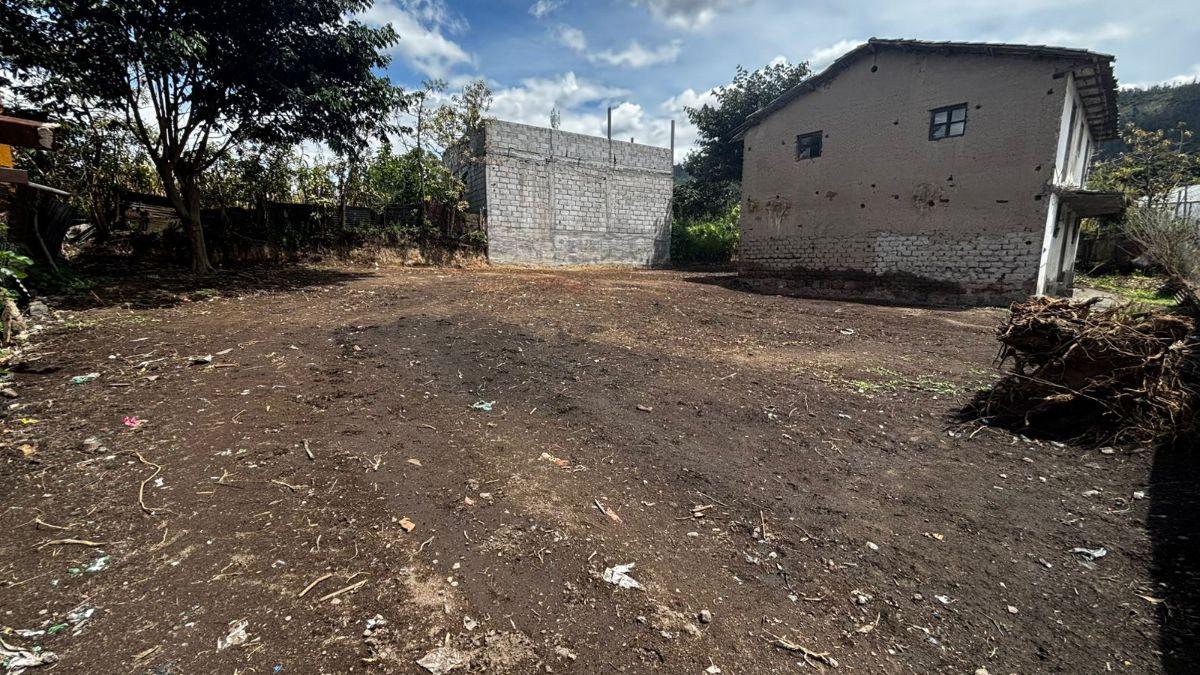 Vendo Terreno en El Sector de Tanda con Casita de Adobe — imagen 5