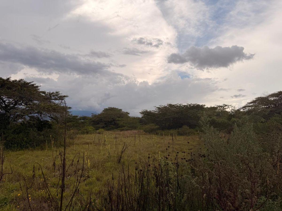 Terreno en Venta /1.226.40 m² Puembo Sector Arrayanes — imagen 5