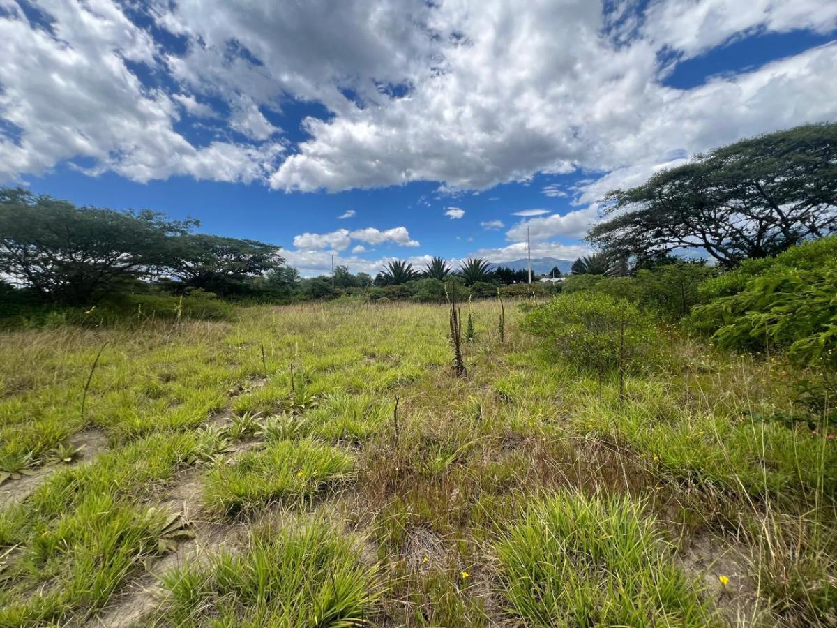 Terreno en Venta /1.226.40 m² Puembo Sector Arrayanes — imagen 4