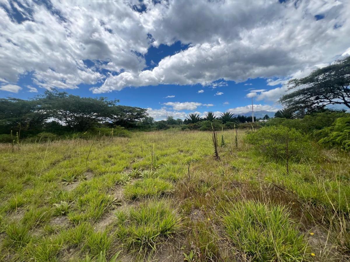 Terreno en Venta /1.226.40 m² Puembo Sector Arrayanes — imagen 3