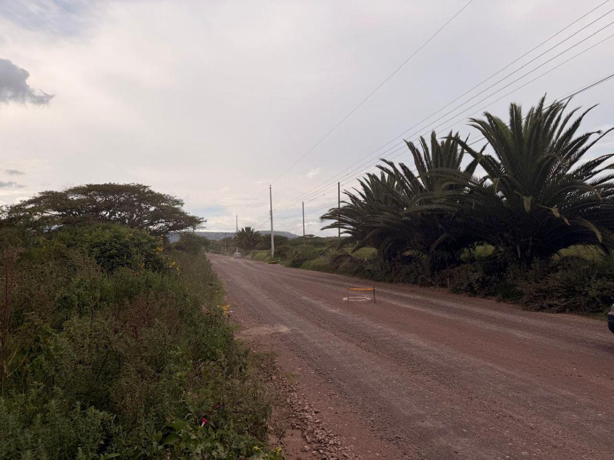 Terreno en Venta /1.226.40 m² Puembo Sector Arrayanes — imagen 2