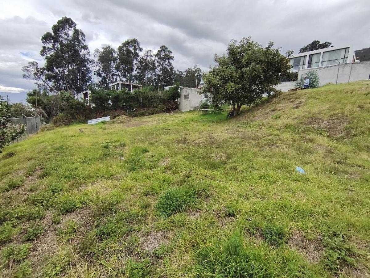 Scc. Venta Terreno de 563 m². Sector: San Patricio Alto. Cumbayá — imagen 3