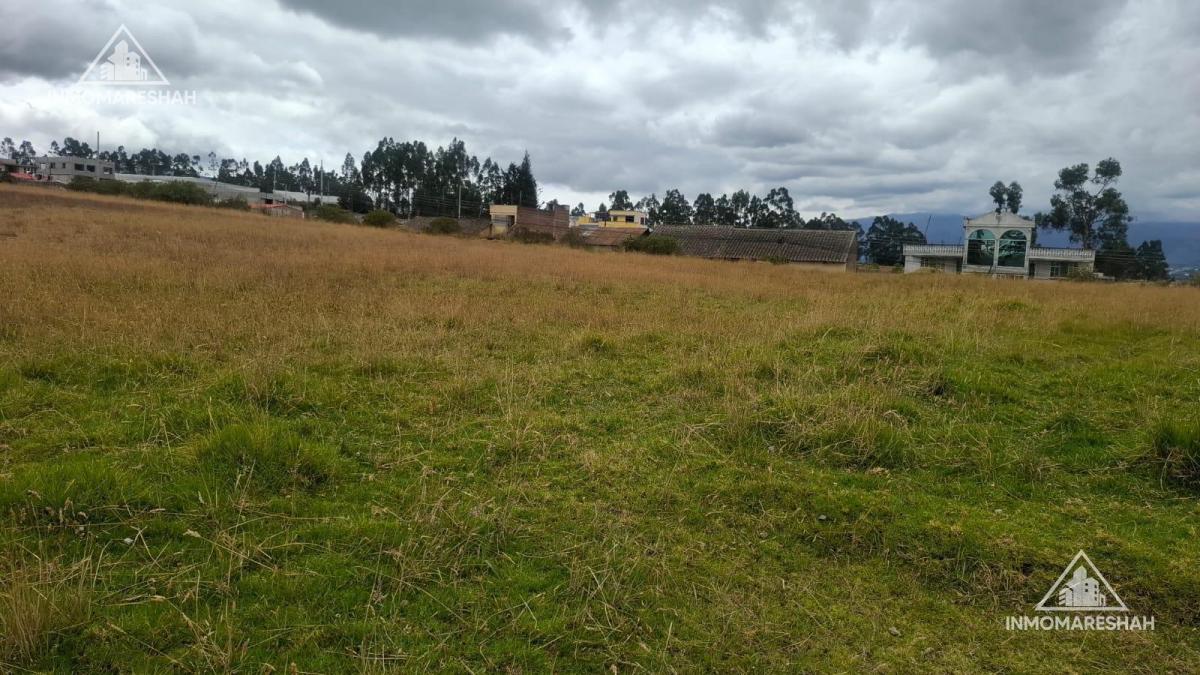 Terreno de Oportunidad de 8.000 m² en El Centro de Tabacundo | Ideal Para Inversión — imagen 5