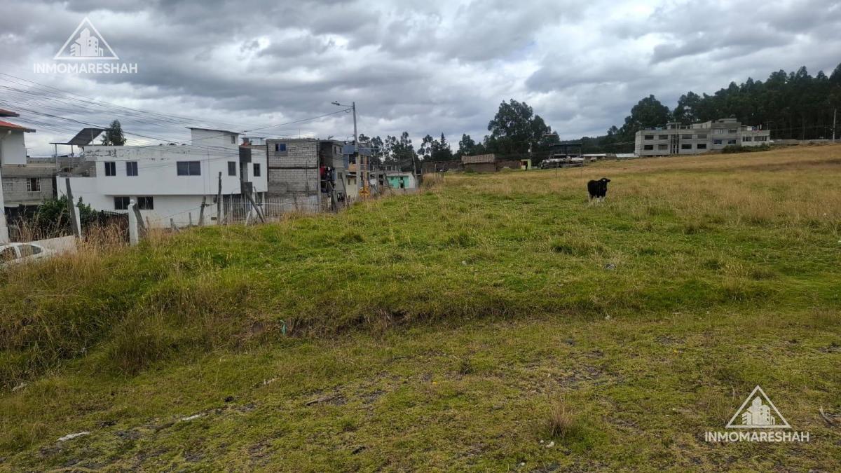 Terreno de Oportunidad de 8.000 m² en El Centro de Tabacundo | Ideal Para Inversión — imagen 4