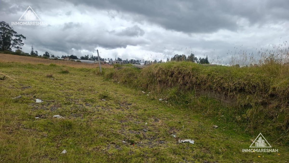Terreno de Oportunidad de 8.000 m² en El Centro de Tabacundo | Ideal Para Inversión — imagen 3