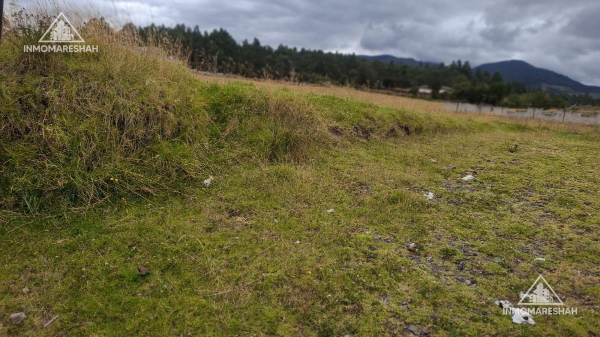 Terreno de Oportunidad de 8.000 m² en El Centro de Tabacundo | Ideal Para Inversión — imagen 2
