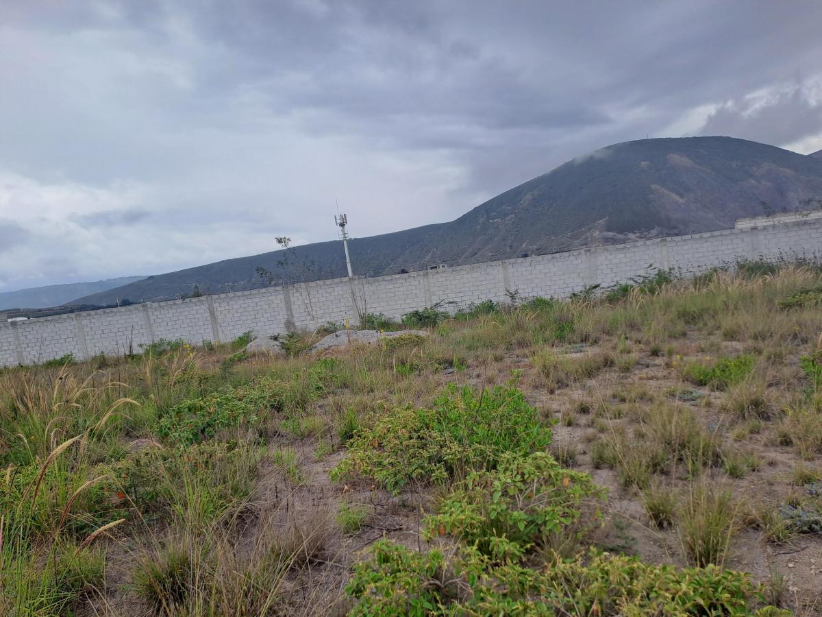 Vendo Terreno Sector Mitad del Mundo — imagen 3