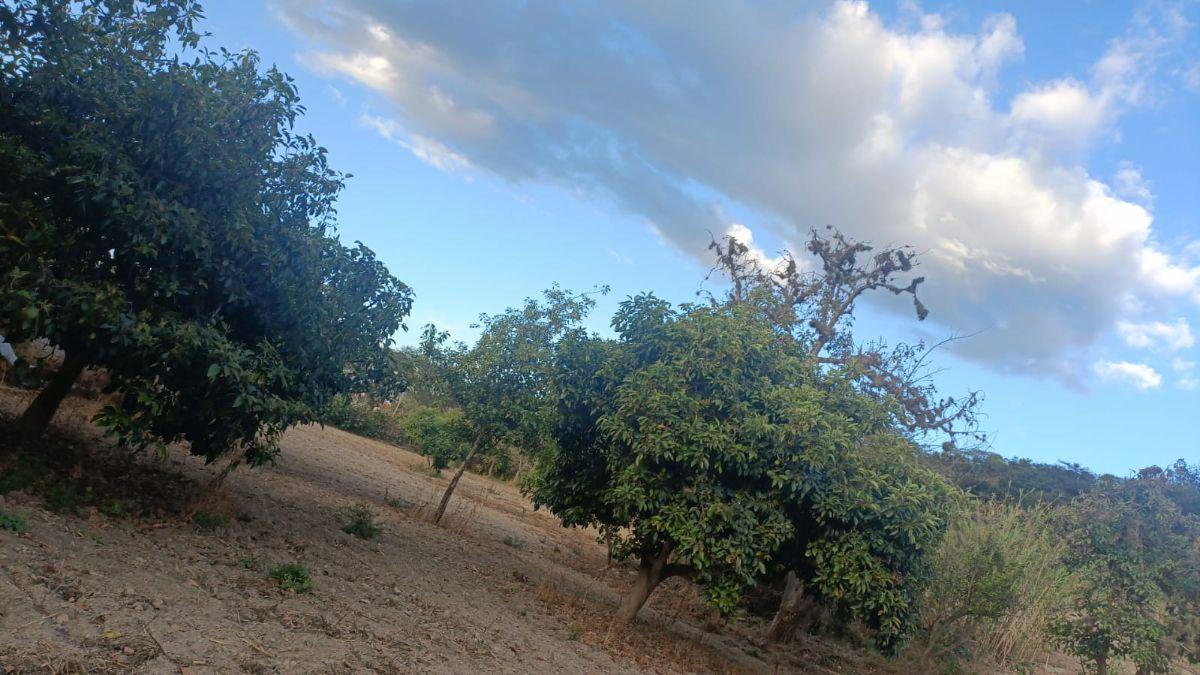 ¡Terreno de 2.000 m² en Venta – Guayllabamba! — imagen 10