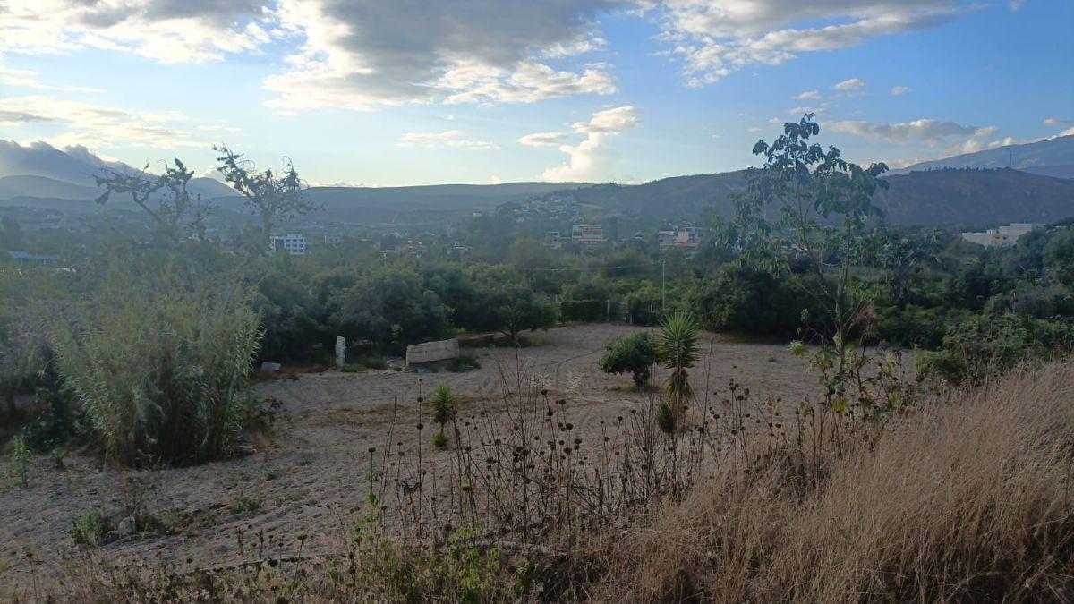 ¡Terreno de 2.000 m² en Venta – Guayllabamba! — imagen 9