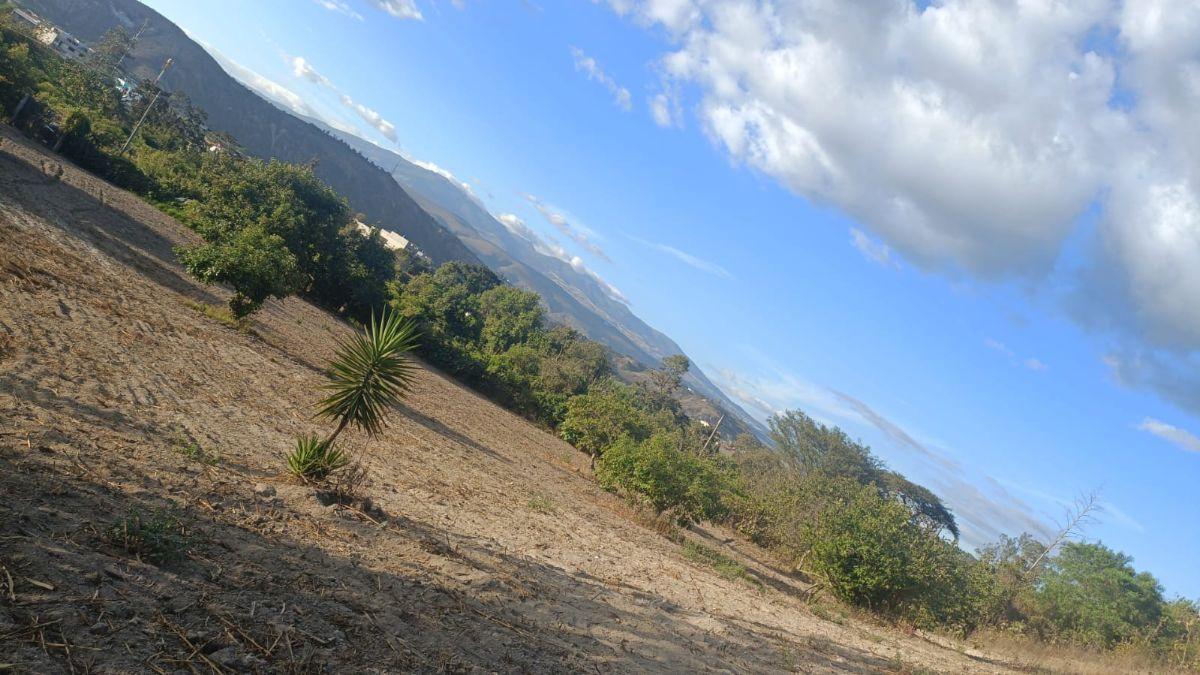 ¡Terreno de 2.000 m² en Venta – Guayllabamba! — imagen 6
