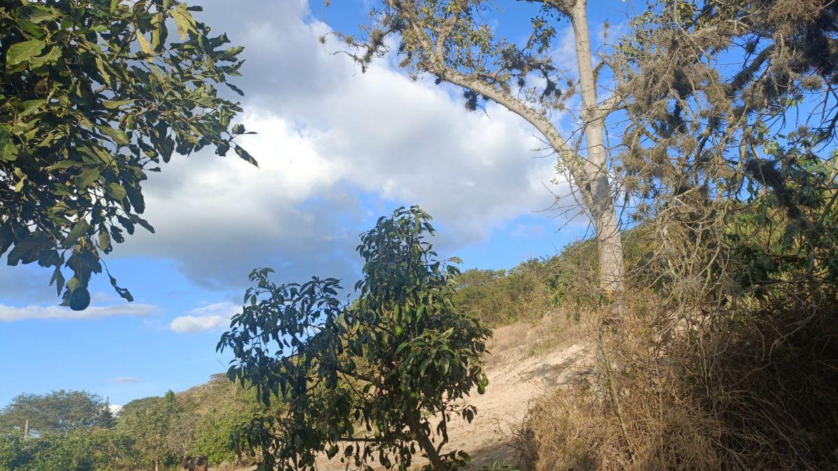 ¡Terreno de 2.000 m² en Venta – Guayllabamba! — imagen 5