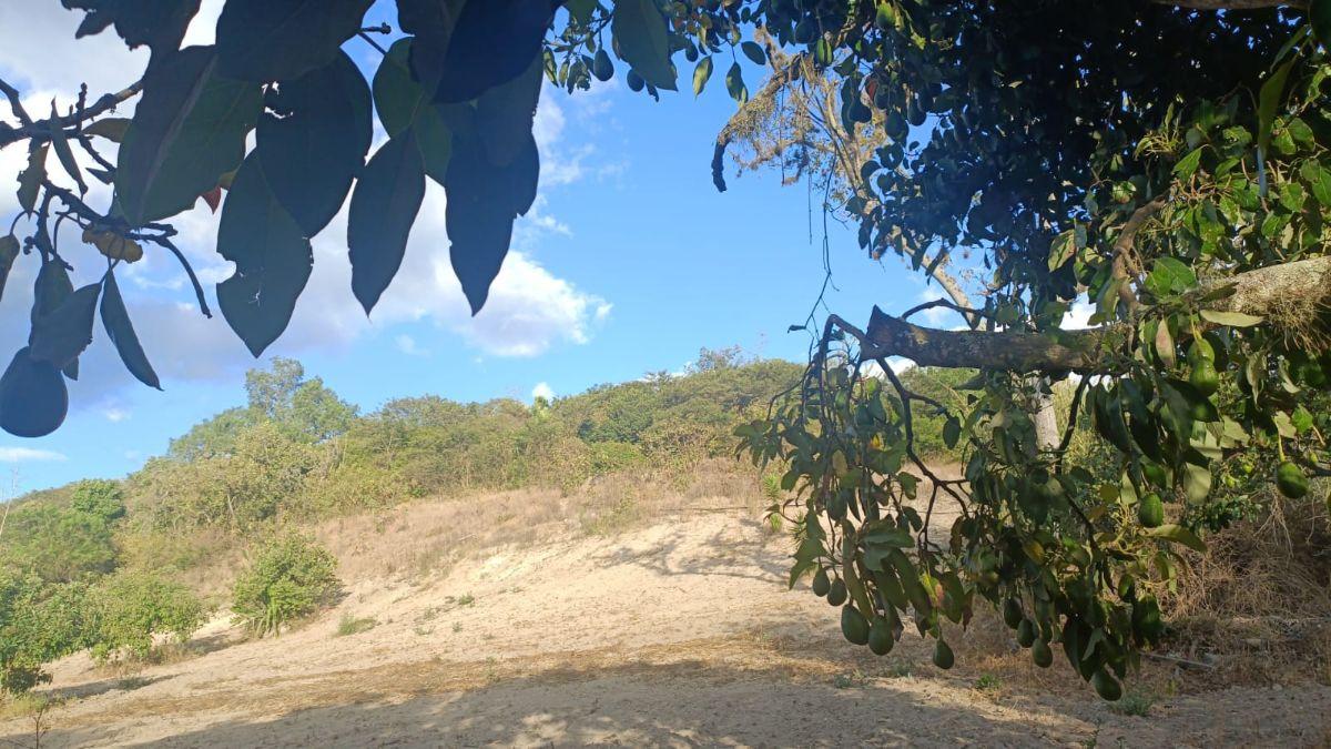 ¡Terreno de 2.000 m² en Venta – Guayllabamba! — imagen 4