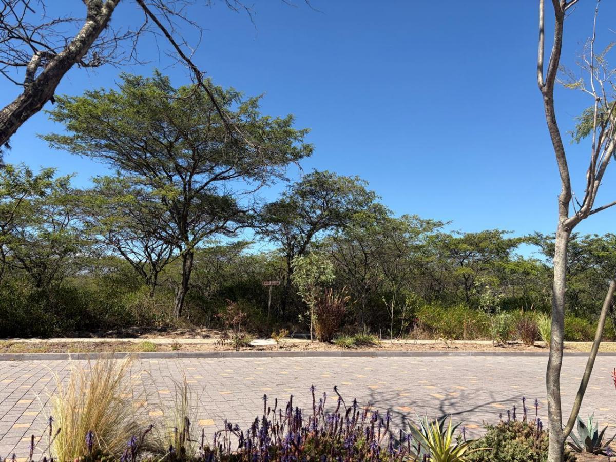 Mcl - Venta de Terreno Dentro de Napakuna - Urbanizacion de Lujo - Tumbaco — imagen 4