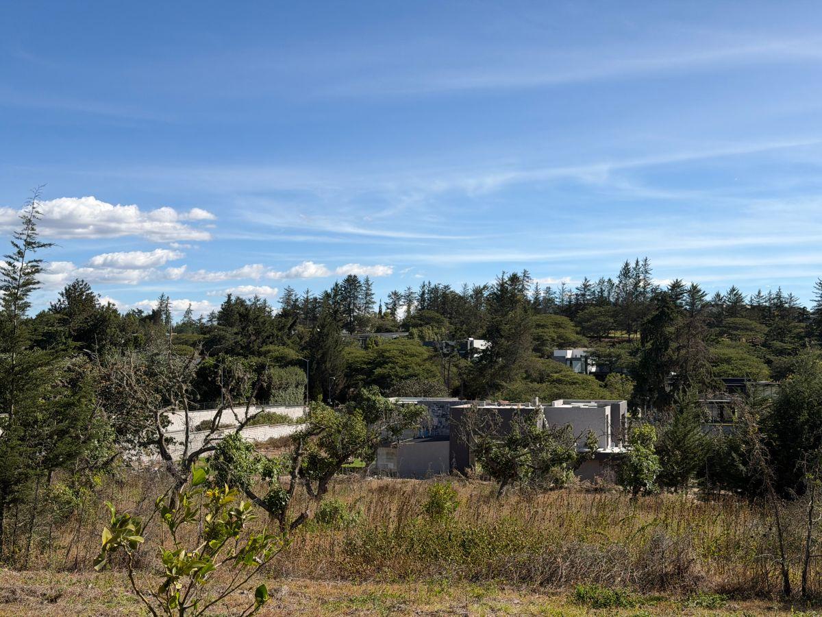 Terreno de 2000 m² en Venta en Puembo con 34 m de Frente — imagen 10