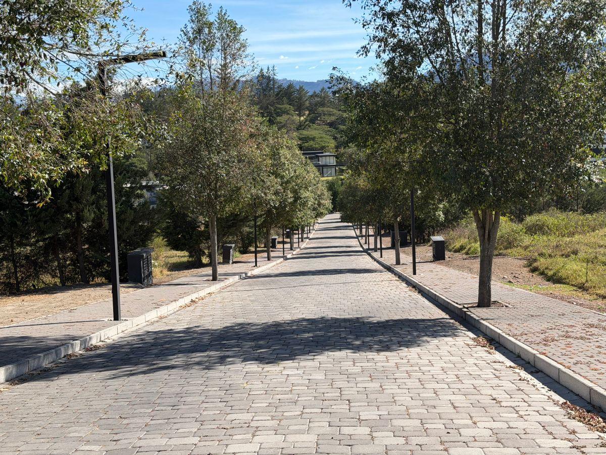 Terreno de 2000 m² en Venta en Puembo con 34 m de Frente — imagen 9