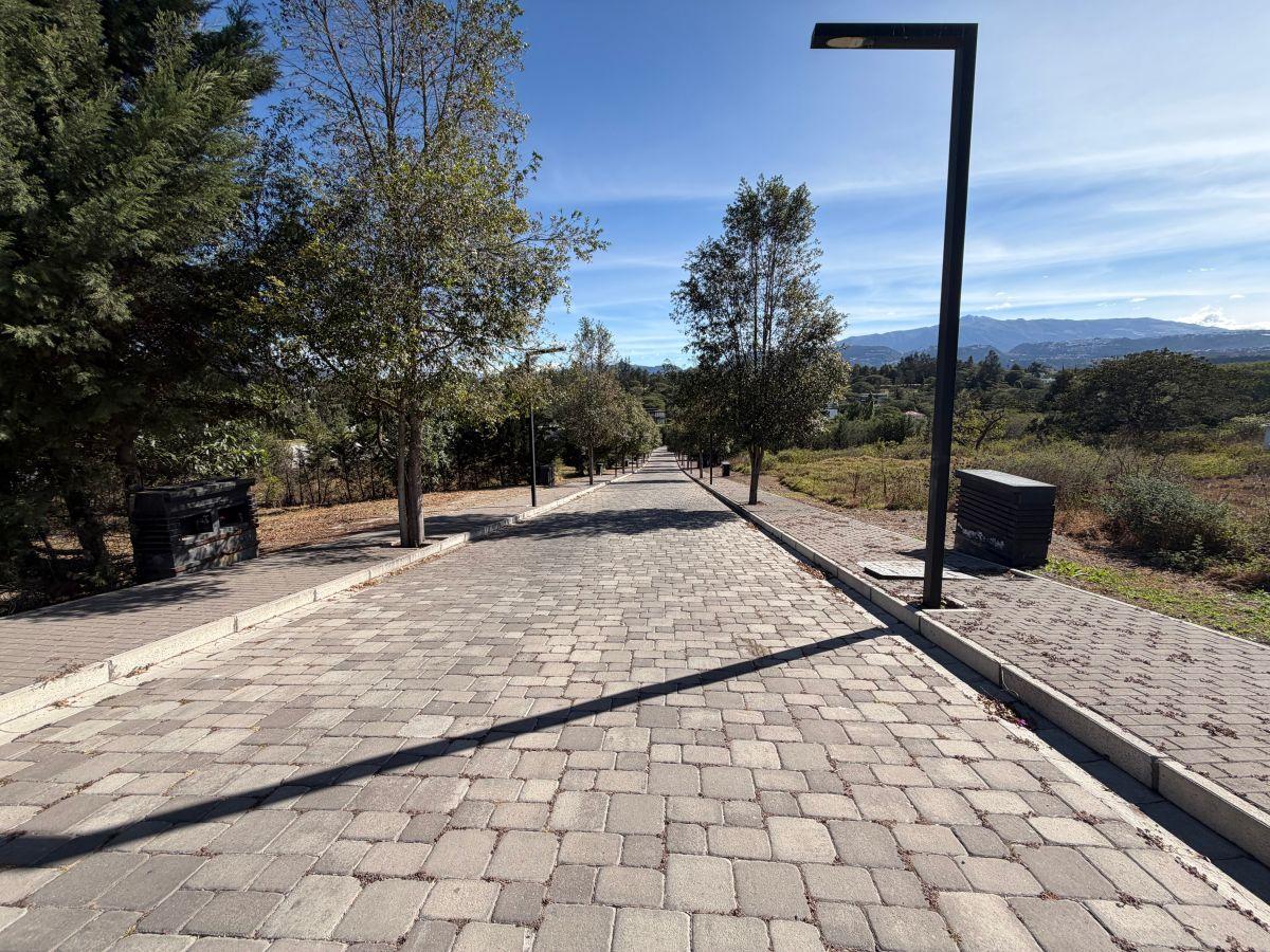 Terreno de 2000 m² en Venta en Puembo con 34 m de Frente — imagen 7