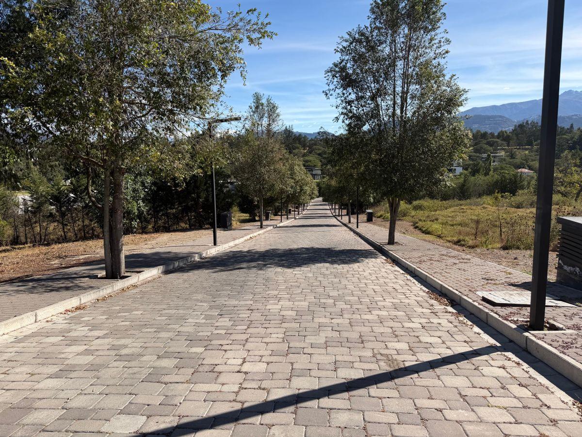 Terreno de 2000 m² en Venta en Puembo con 34 m de Frente — imagen 6