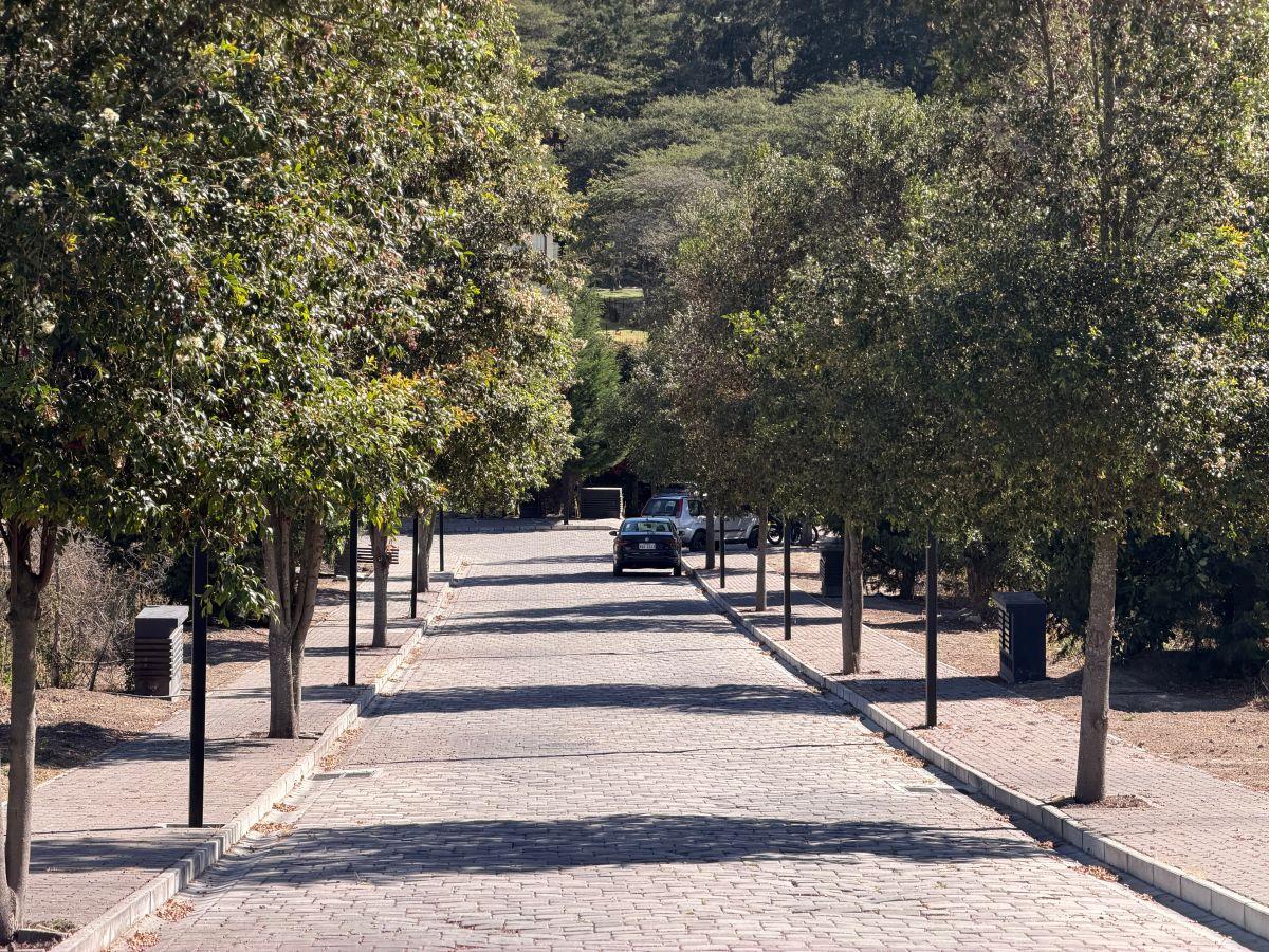 Terreno de 2000 m² en Venta en Puembo con 34 m de Frente — imagen 5