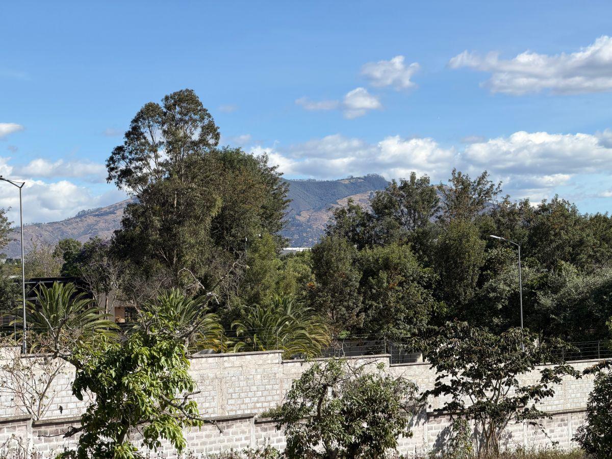 Terreno de 2000 m² en Venta en Puembo con 34 m de Frente — imagen 3