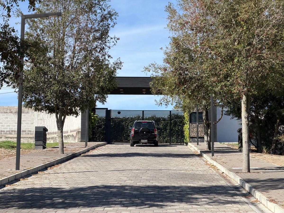 Terreno de 2000 m² en Venta en Puembo con 34 m de Frente — imagen 2