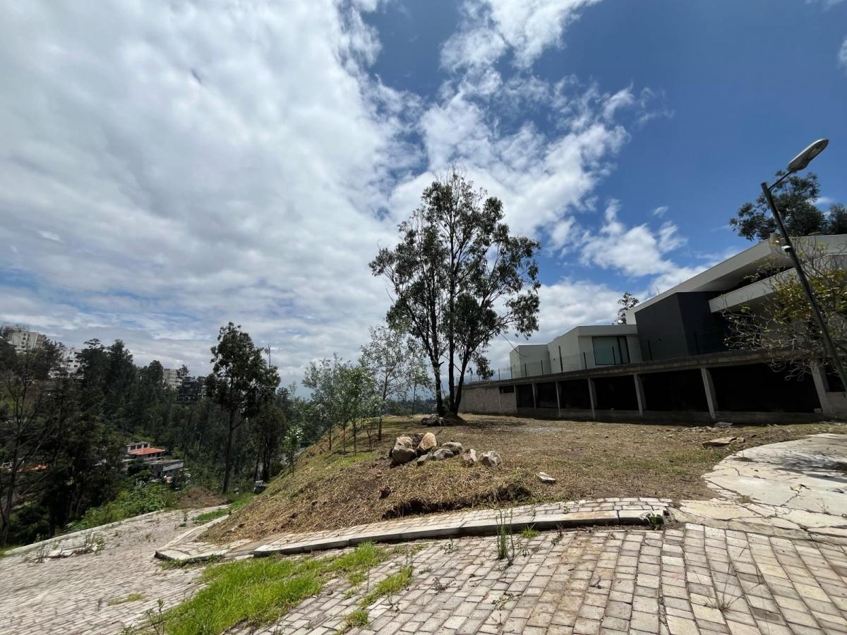 Terreno - Cumbayá — imagen 10