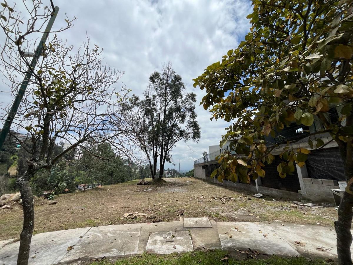 Terreno - Cumbayá — imagen 9