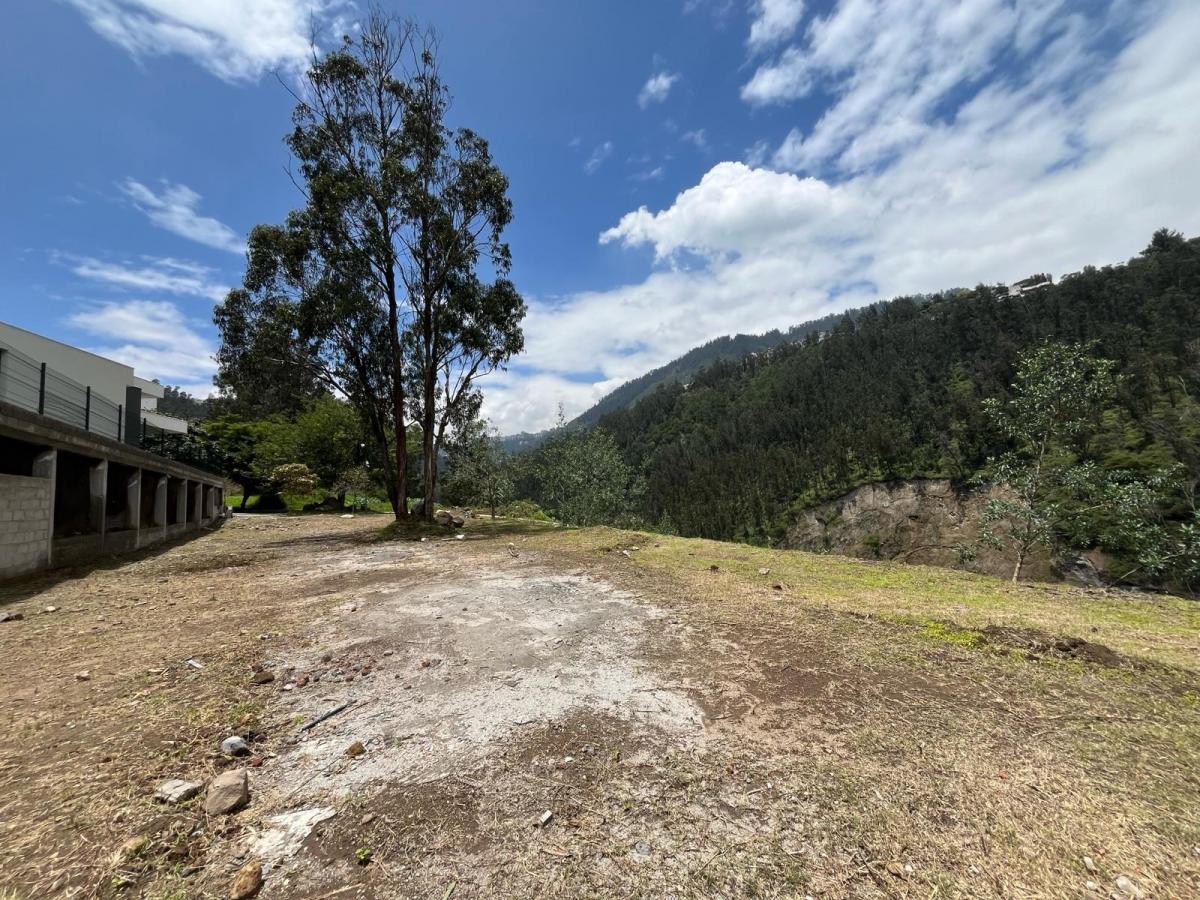 Terreno - Cumbayá — imagen 4