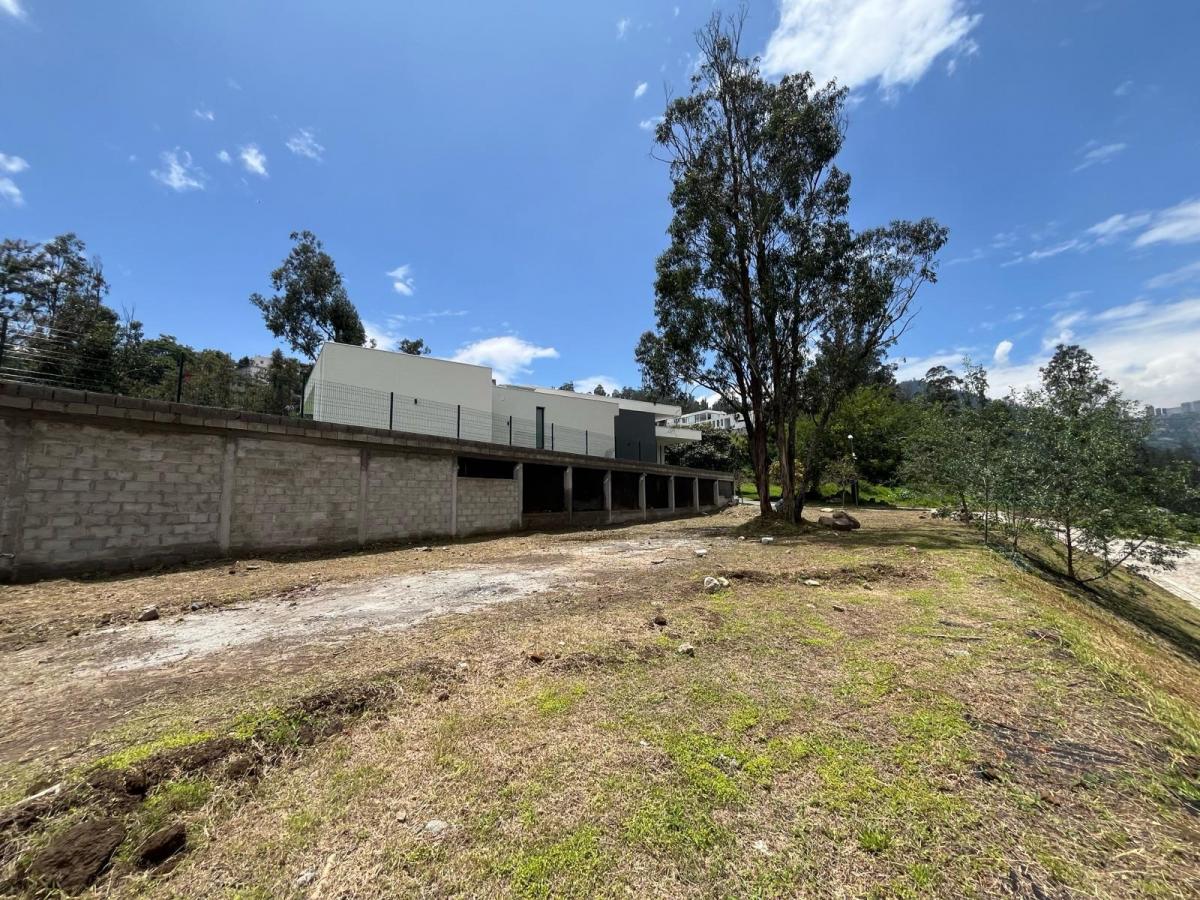 Terreno - Cumbayá — imagen 3