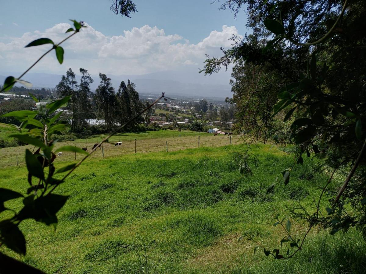 Oportunidad de Inversión, en un Paraiso Natural, Checa, Terreno Rural 24.406.39 m². Provincia de Pichincha — imagen 8
