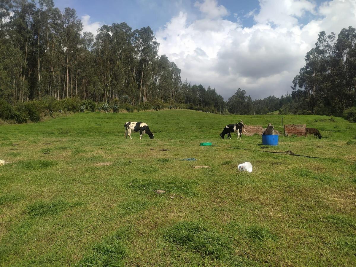 Oportunidad de Inversión, en un Paraiso Natural, Checa, Terreno Rural 24.406.39 m². Provincia de Pichincha — imagen 6