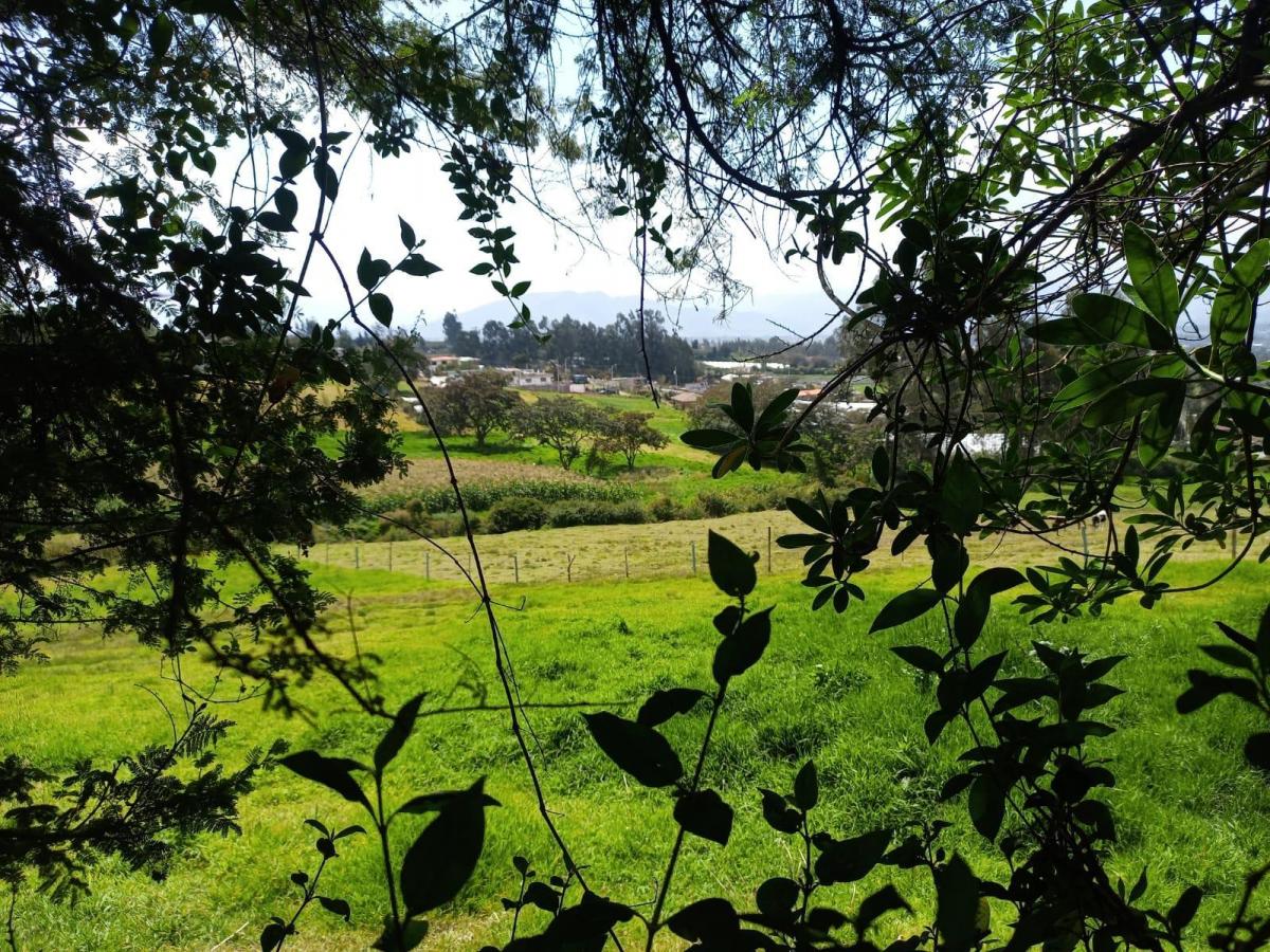 Oportunidad de Inversión, en un Paraiso Natural, Checa, Terreno Rural 24.406.39 m². Provincia de Pichincha — imagen 5