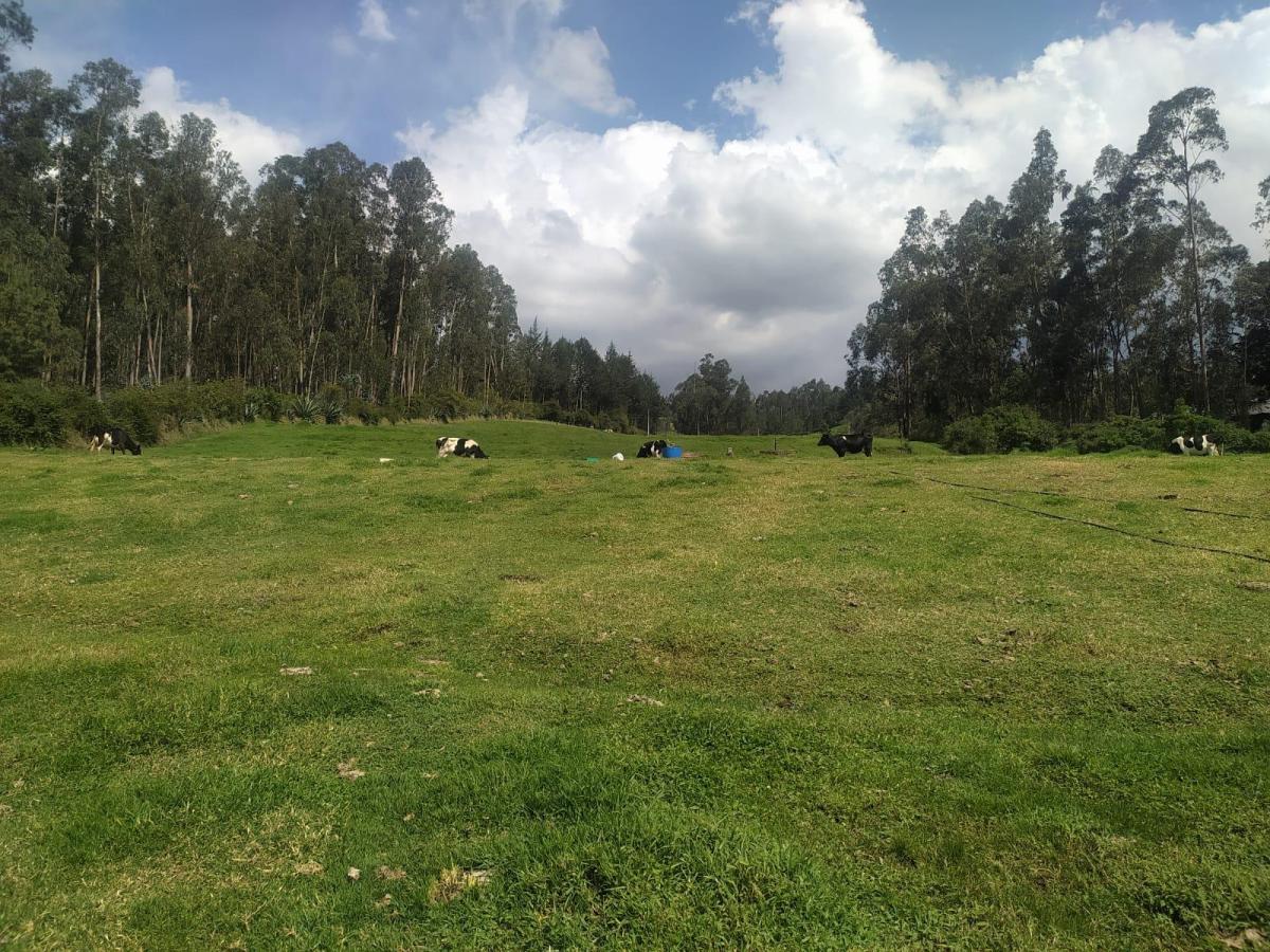 Oportunidad de Inversión, en un Paraiso Natural, Checa, Terreno Rural 24.406.39 m². Provincia de Pichincha — imagen 4