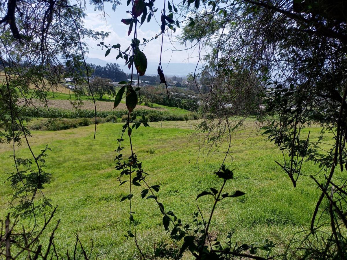 Oportunidad de Inversión, en un Paraiso Natural, Checa, Terreno Rural 24.406.39 m². Provincia de Pichincha — imagen 3
