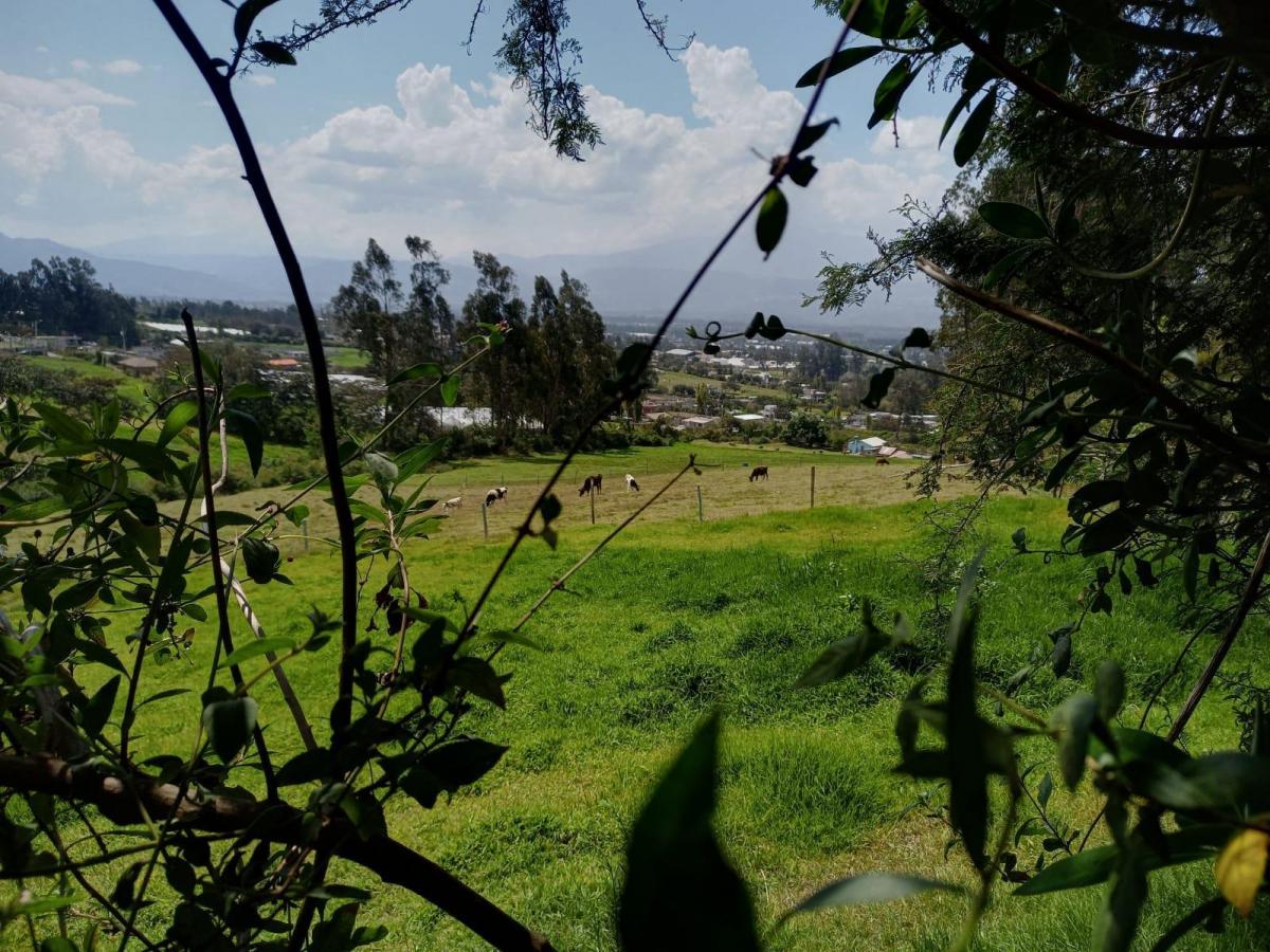 Oportunidad de Inversión, en un Paraiso Natural, Checa, Terreno Rural 24.406.39 m². Provincia de Pichincha — imagen 2
