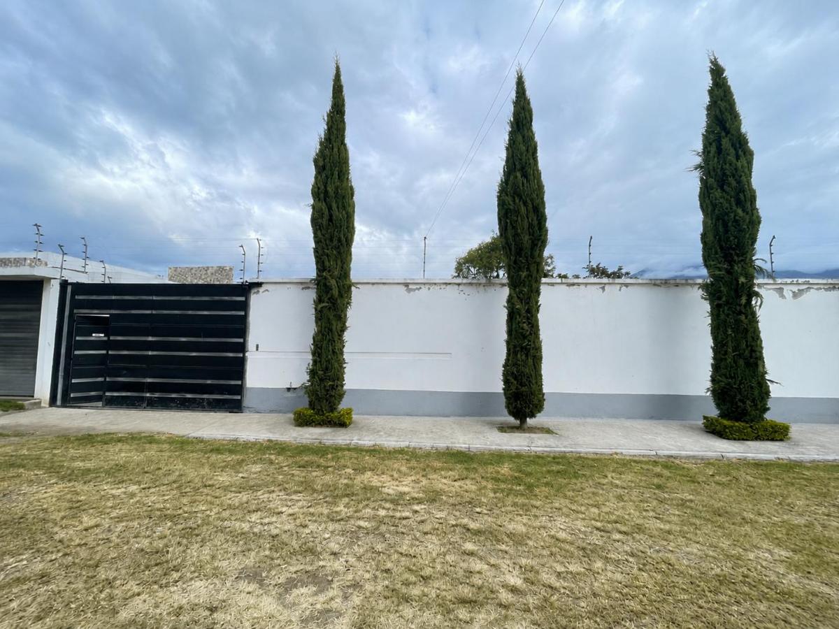 Quinta en Venta, Imbaya, Antonio Ante, Imbabura — imagen 8