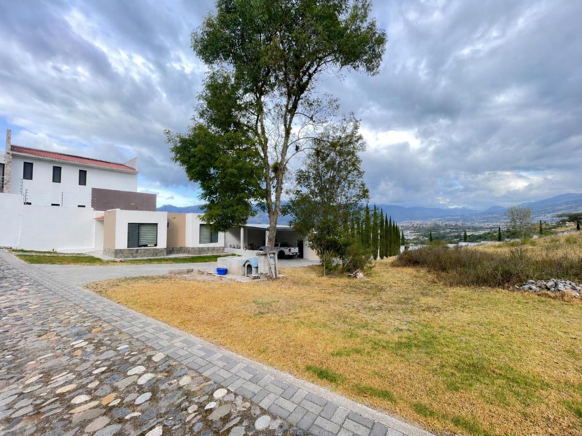 Quinta en Venta, Imbaya, Antonio Ante, Imbabura — imagen 3