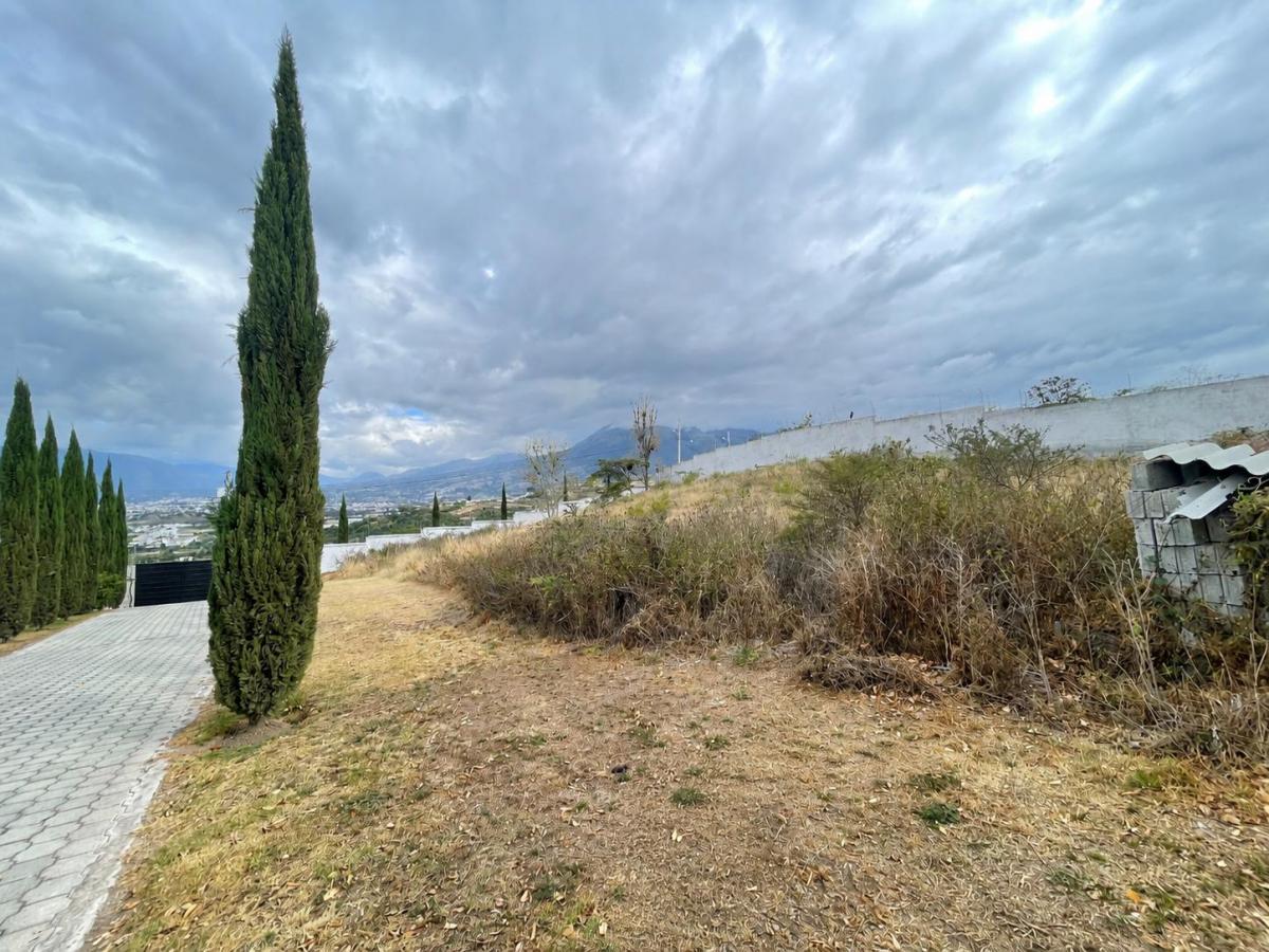 Quinta en Venta, Imbaya, Antonio Ante, Imbabura — imagen 2