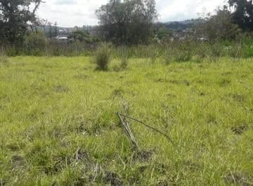 Renta o Venta Terreno Comercial Sector Pomasqui, Av Manuel Córdova Galarza — imagen 3