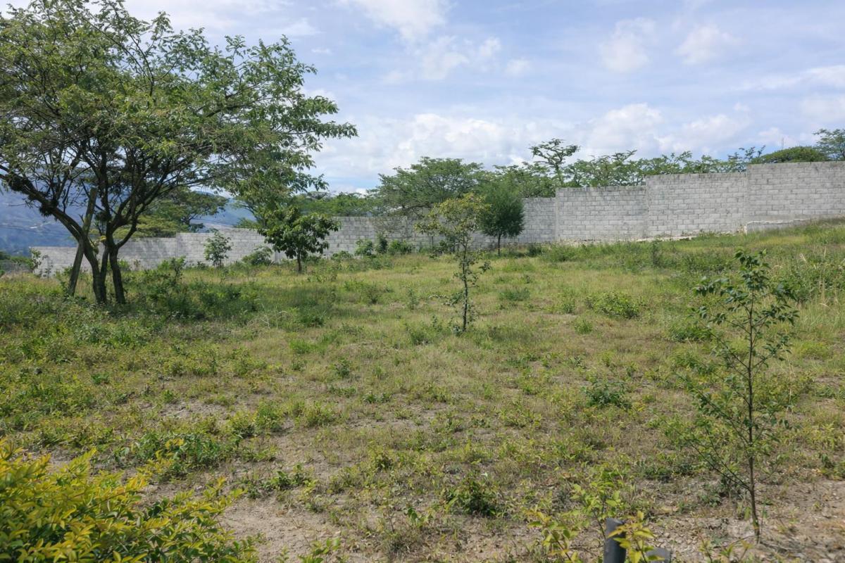 Venta Terreno en Malchinguí 502 m² — imagen 7